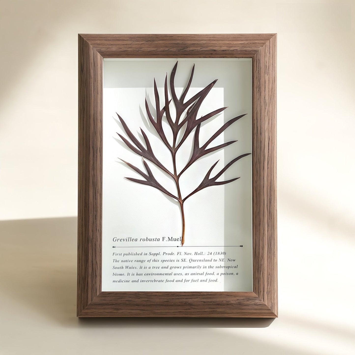 "The Landscape Garden" Real Flower Shadow Box