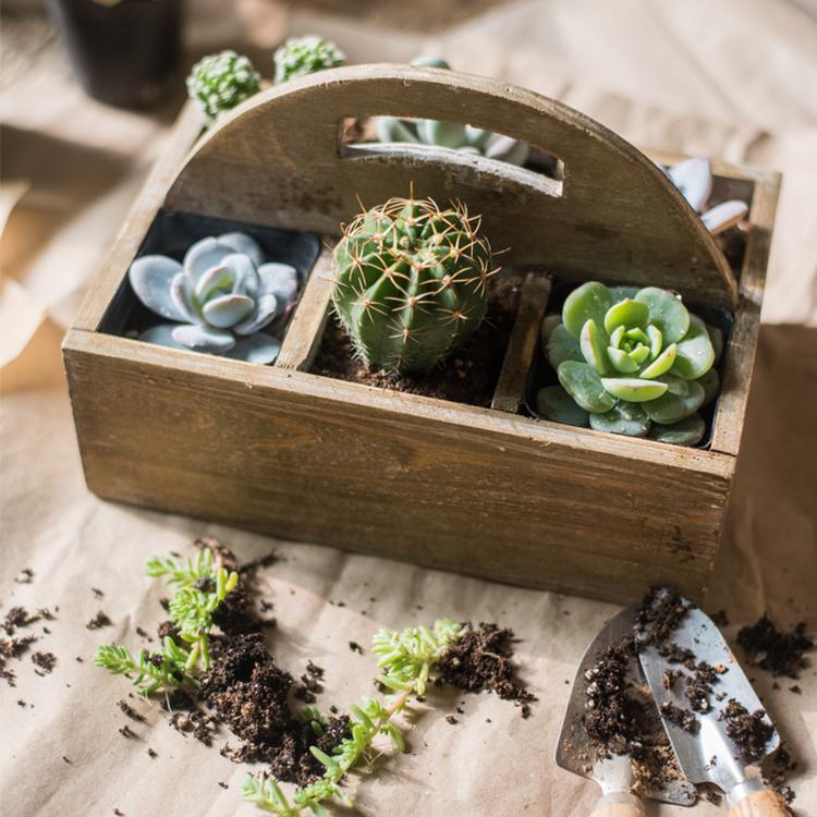 Wooden Organizer Tray Caddy