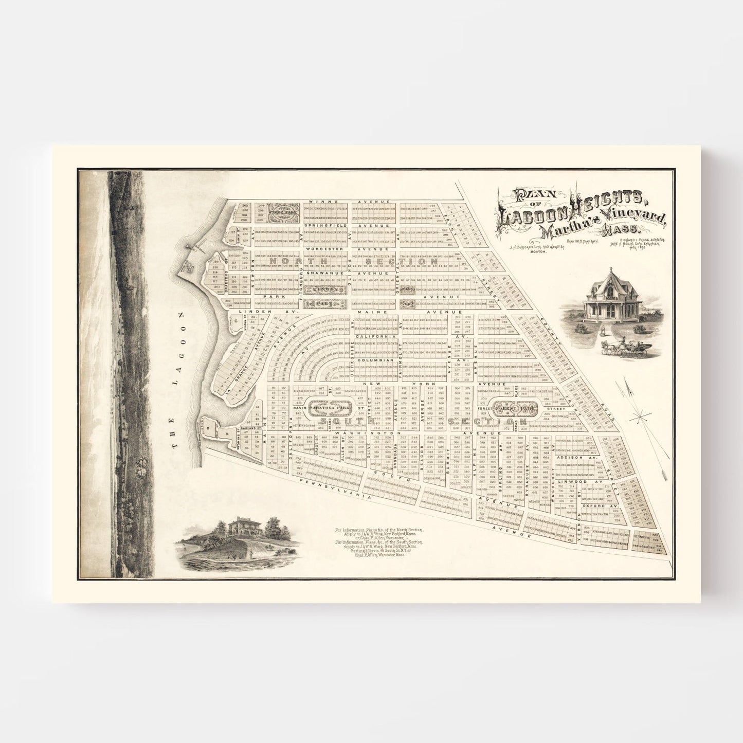 Vintage Lagoon Heights Marthas Vineyard Map 1873
