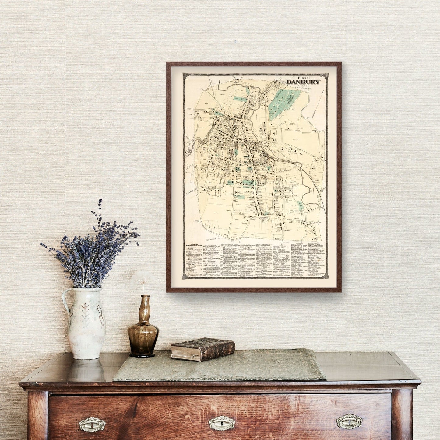 Vintage Map of Danbury, Connecticut 1867