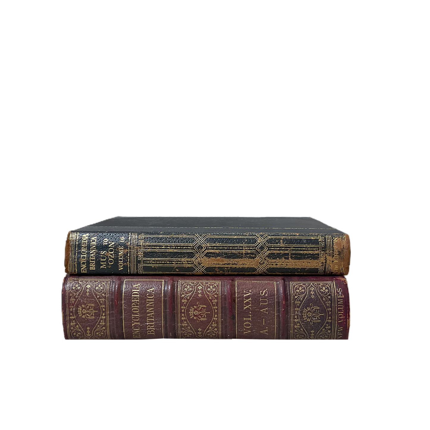 Vintage Books Large