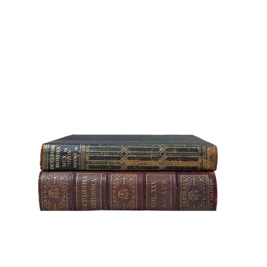 Vintage Books Large