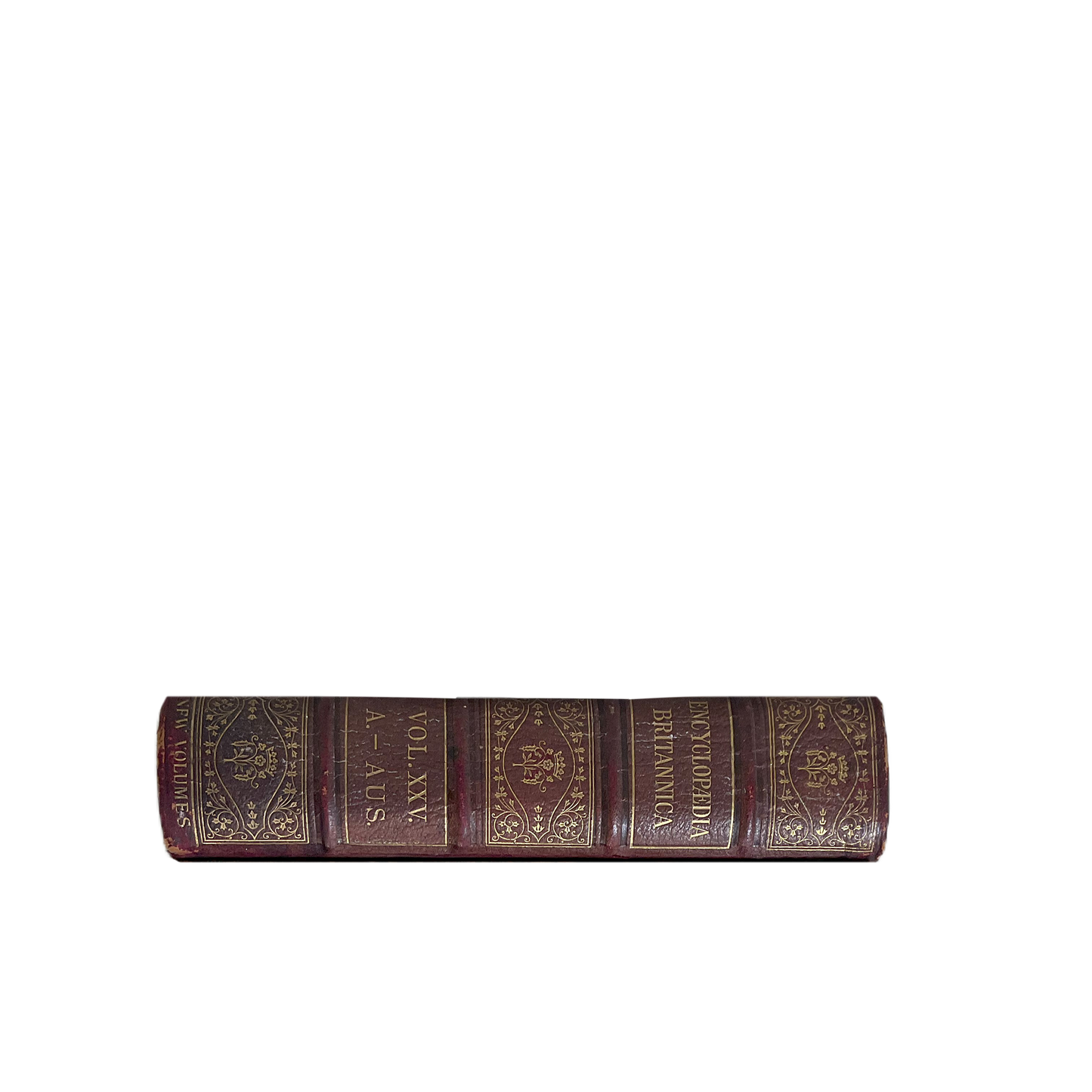 Vintage Books Large