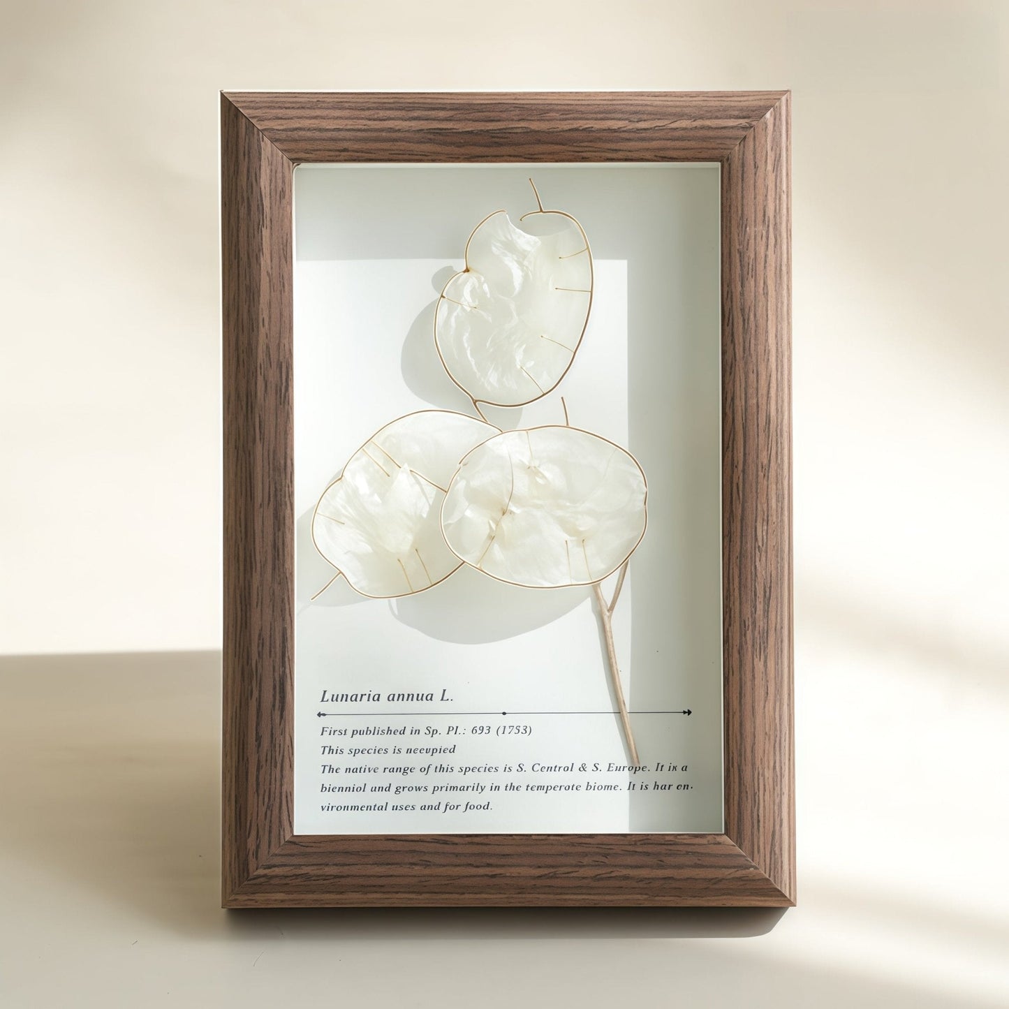 "The Landscape Garden"  Real Flower Shadow Box