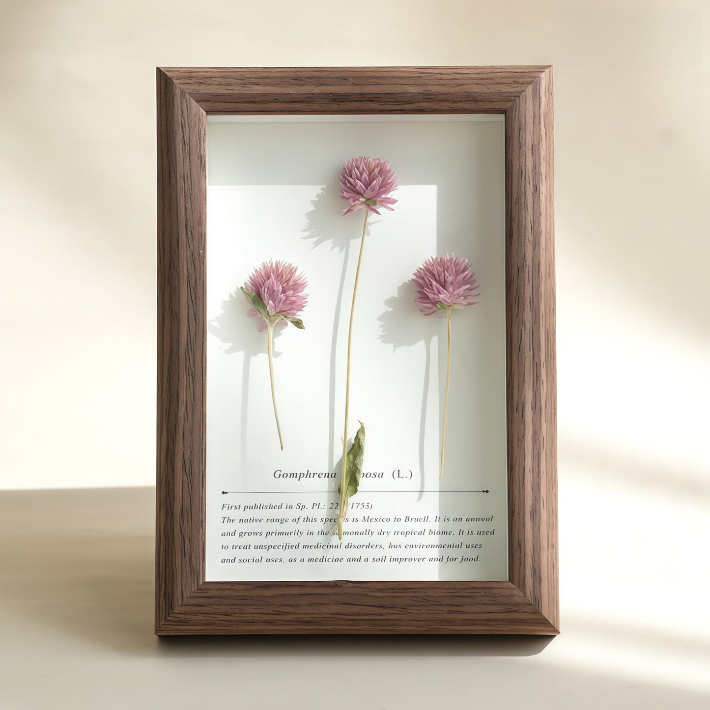 "The Landscape Garden"  Real Flower Shadow Box