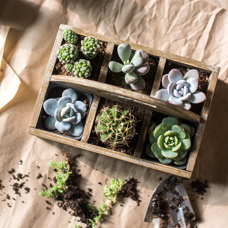 Wooden Organizer Tray Caddy